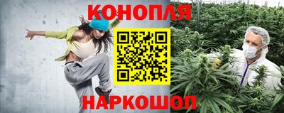 стаф Славгород