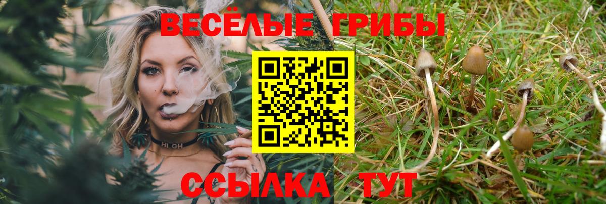 Псилоцибиновые грибы Cubensis  Вход с VPN  Пушкино  Псилоцибиновые грибы Magic Shrooms 